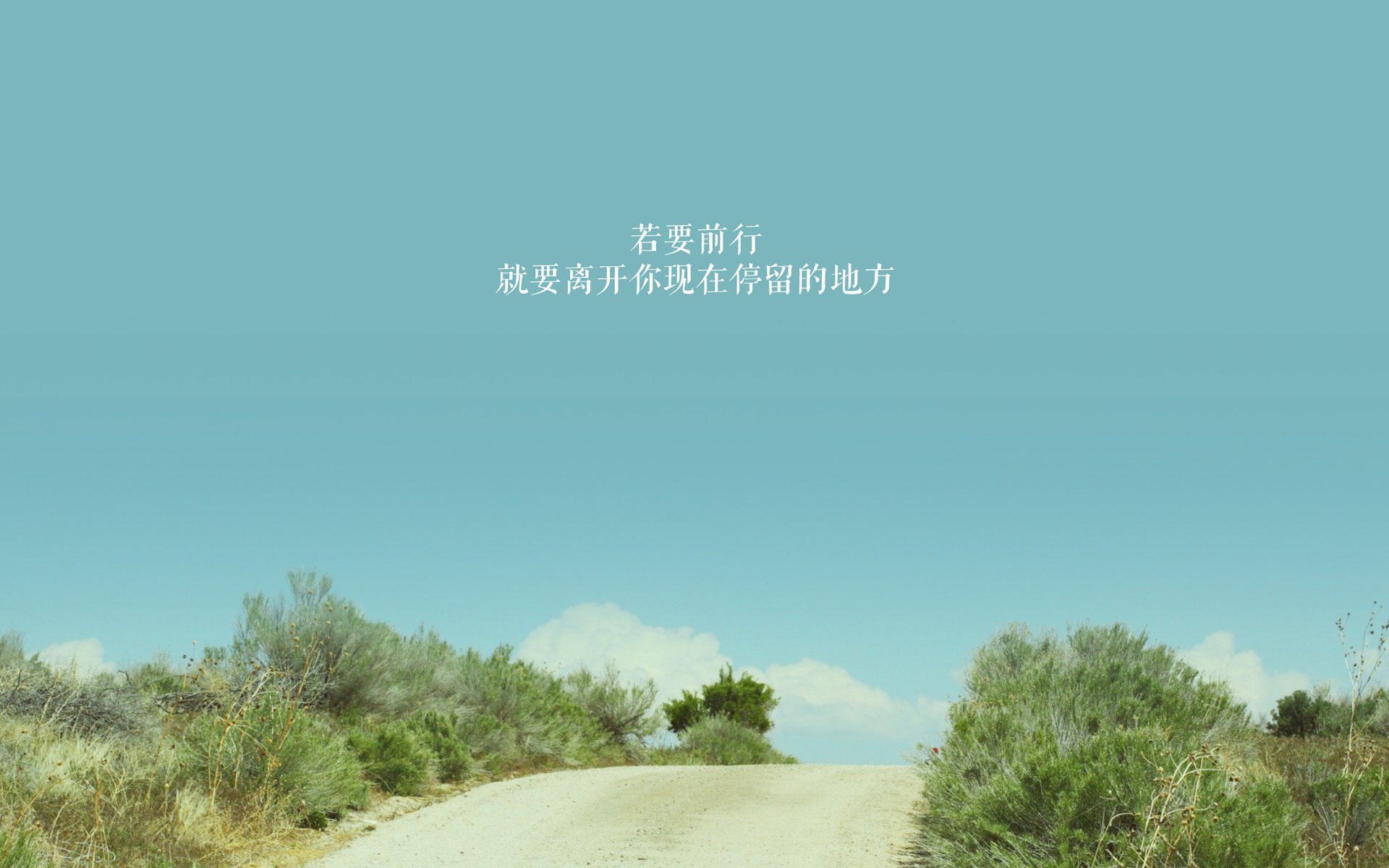 巴格达夜空下的欧冠幽灵,当加纳黑色之星点亮伯纳乌