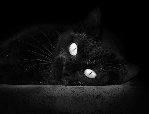 稳如磐石,一击制胜—猛龙末节锁胜局,爱德华兹致命三分定乾坤