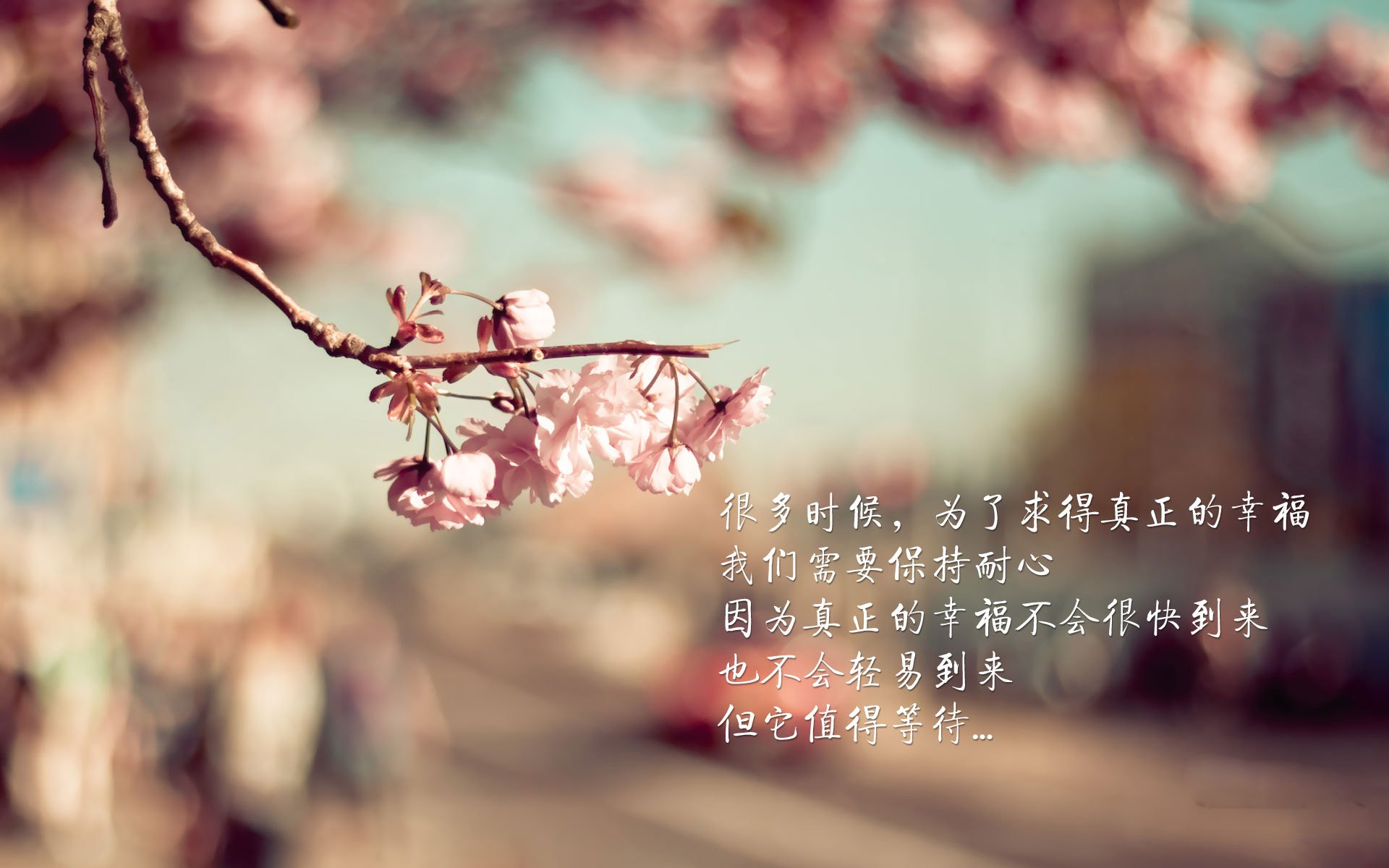 悬停的鹰翼,当切特的双手为深圳速度按下暂停键