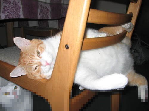 绿茵双城记，帕尔默一锤定音与里昂闪电破土—不可复制的胜利哲学