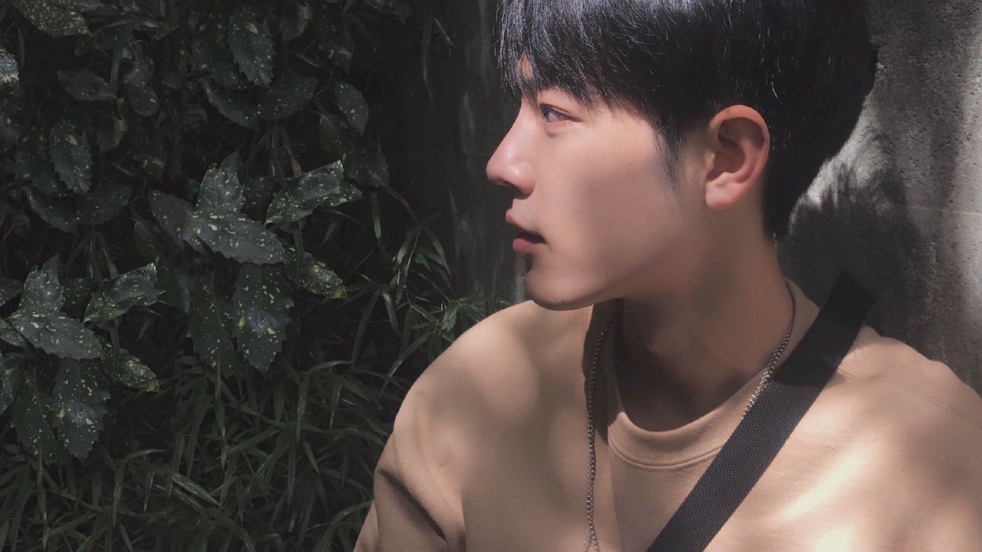 米切尔化身人类稳定精华，上海大鲨鱼跨界碾压孟菲斯灰熊