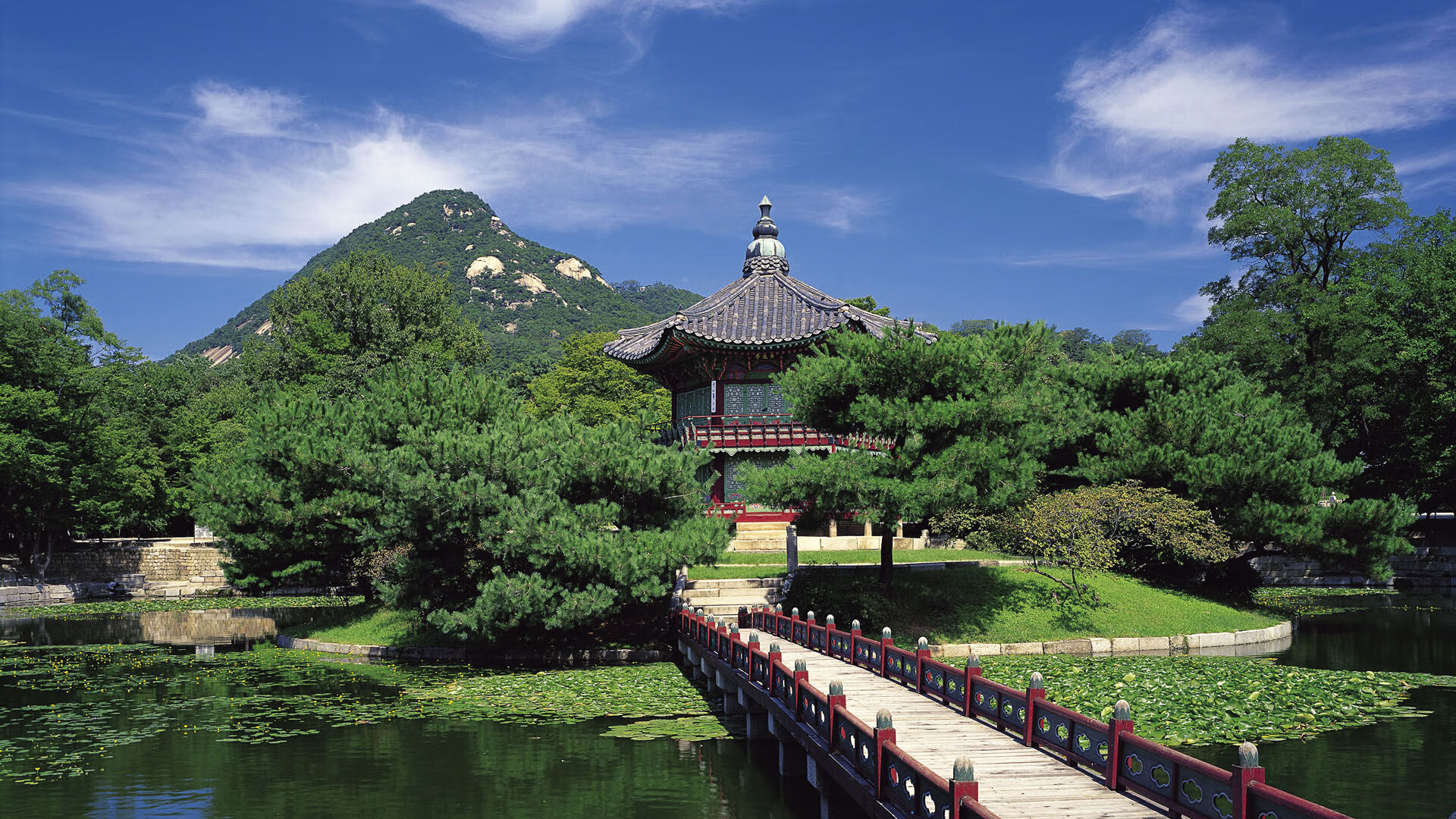 破垒者基米希,当乌克兰钢铁防线遭遇德国手术刀,赛后唯一满分写就中场指挥官圣经