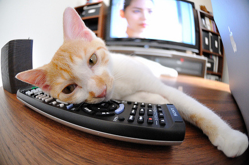 单骑破阵，贝恩35分主宰中美热身赛！广东狂胜76人背后的篮球对话