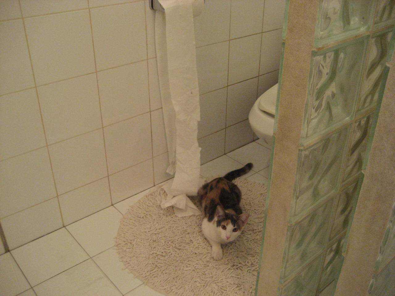 欧洲杯悲喜剧,德里赫特一球定乾坤,土耳其铁血终结克罗地亚王朝