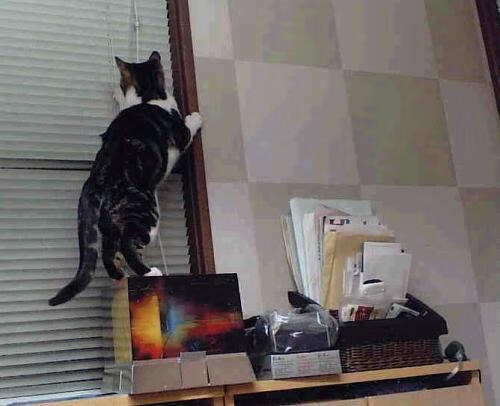 平行时空的胜利，绿茵场上的团队史诗与篮球馆内的个人神话