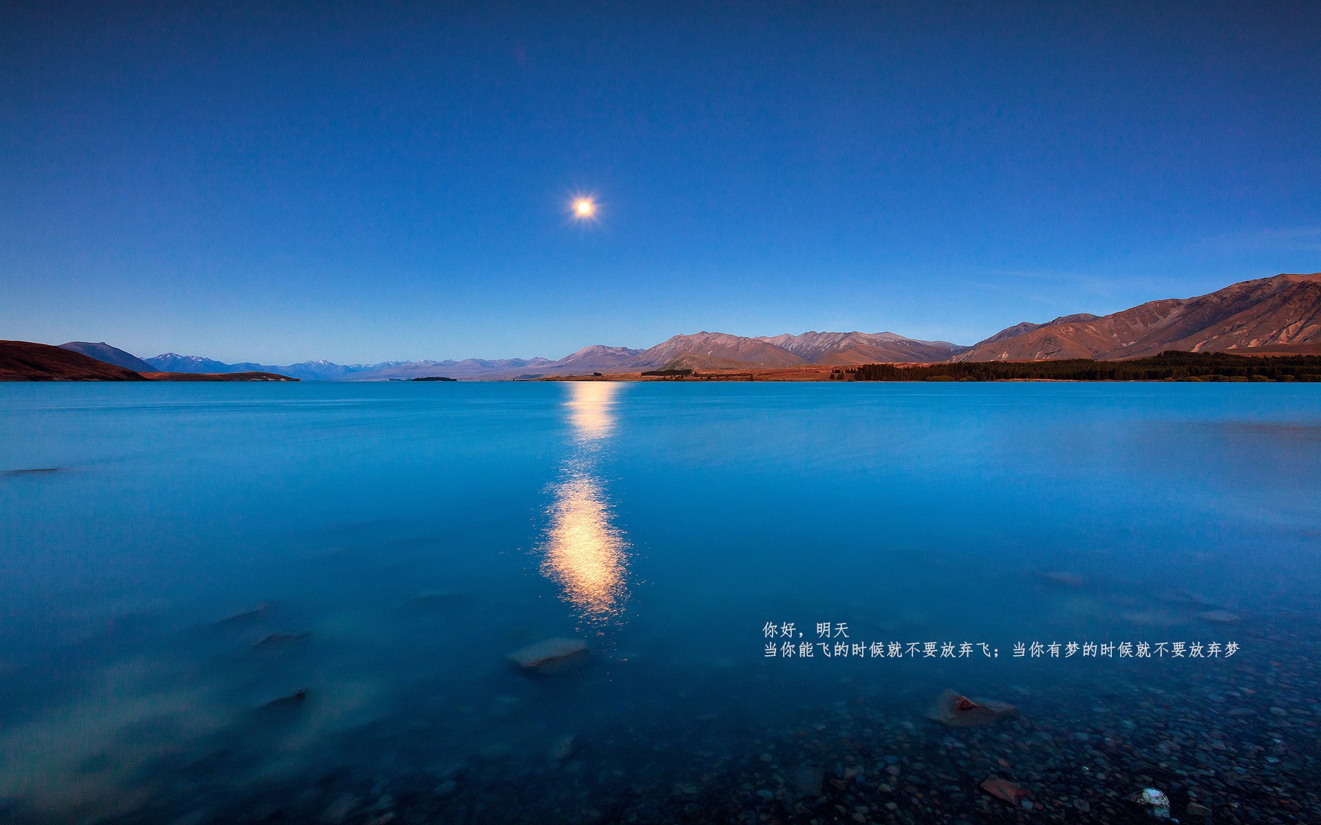 阿拉巴关键先生闪耀，曼城攻势如潮冲垮玻利维亚