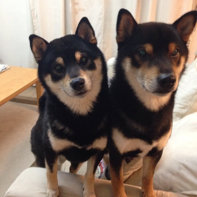 从天而降的救世主，蒂亚戈全程高能输出，导演毕尔巴鄂史诗级翻盘！