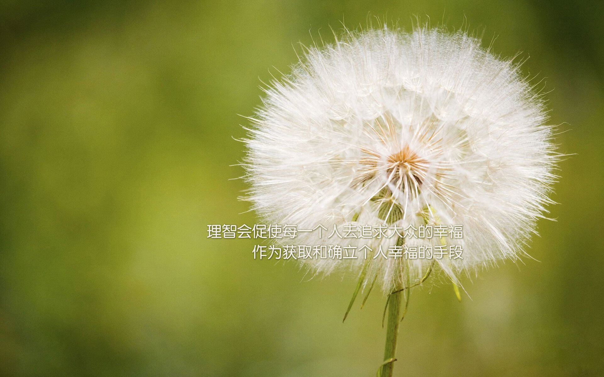 酋长球场筑起叹息之墙，奥纳纳统治级数据护曼联险胜枪手