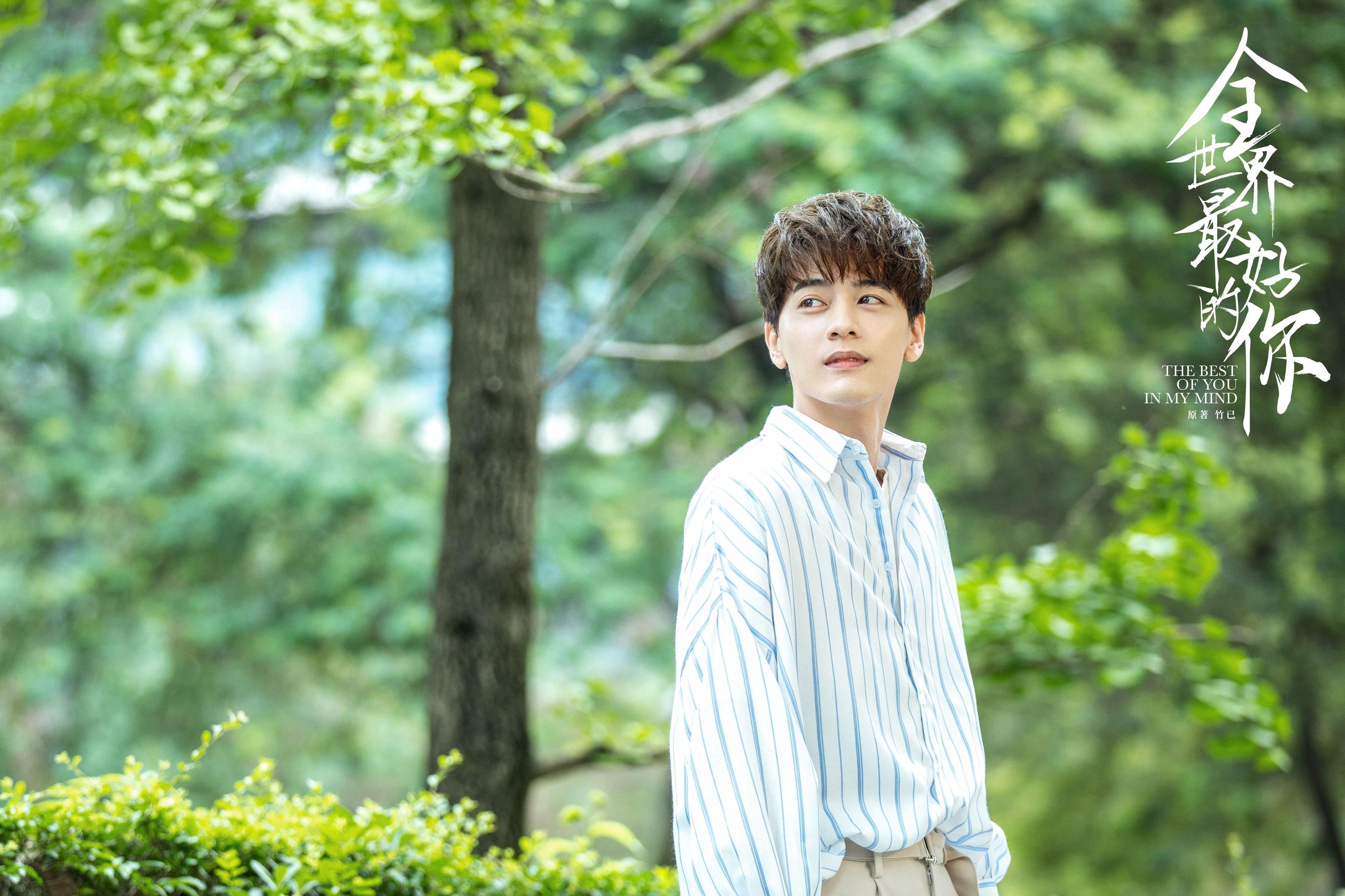 绿茵与雪山间的篮球智慧，当战术铁壁遇见天赋洪流