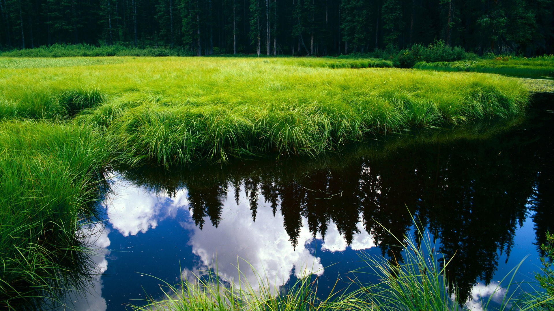 锚定风浪，楚阿梅尼如何成为伯纳乌新时代的稳定器
