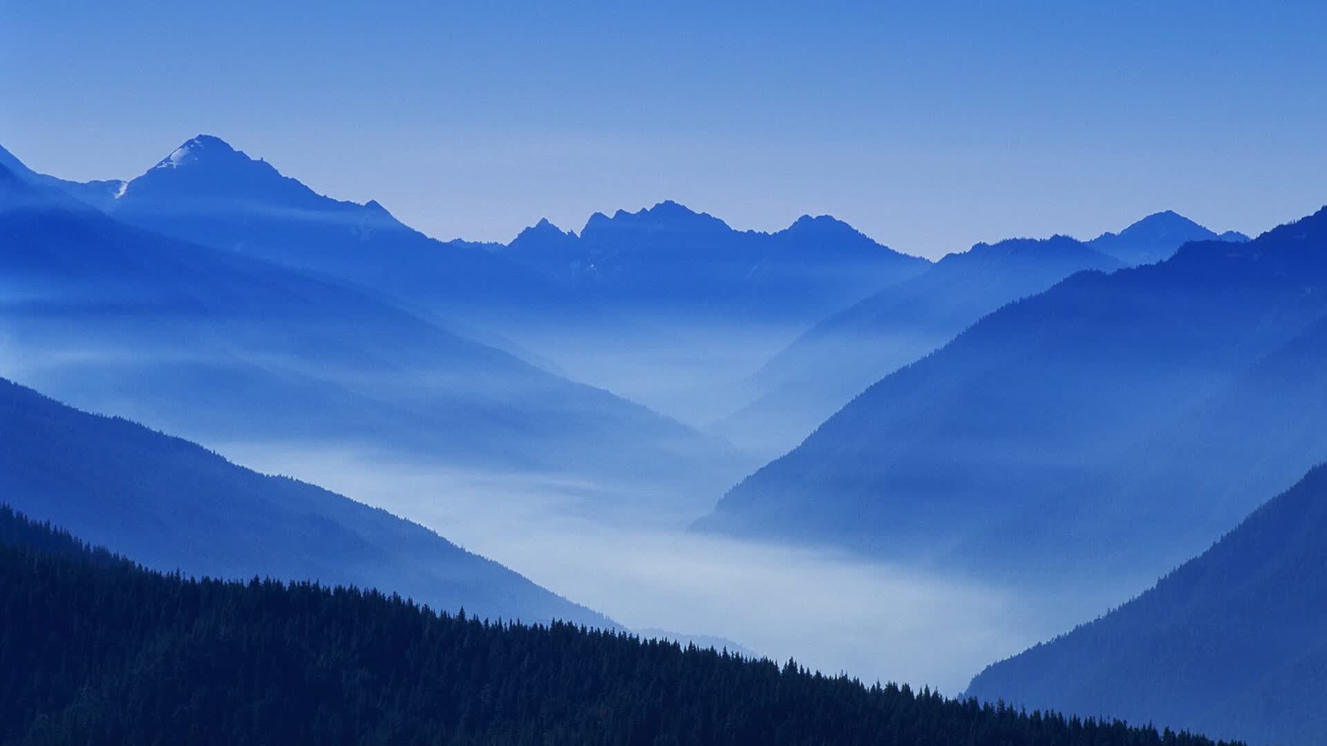 暗夜流星，北欧冰原的致命灼痕，2026世界杯A组那场不可复制的凯恩时刻