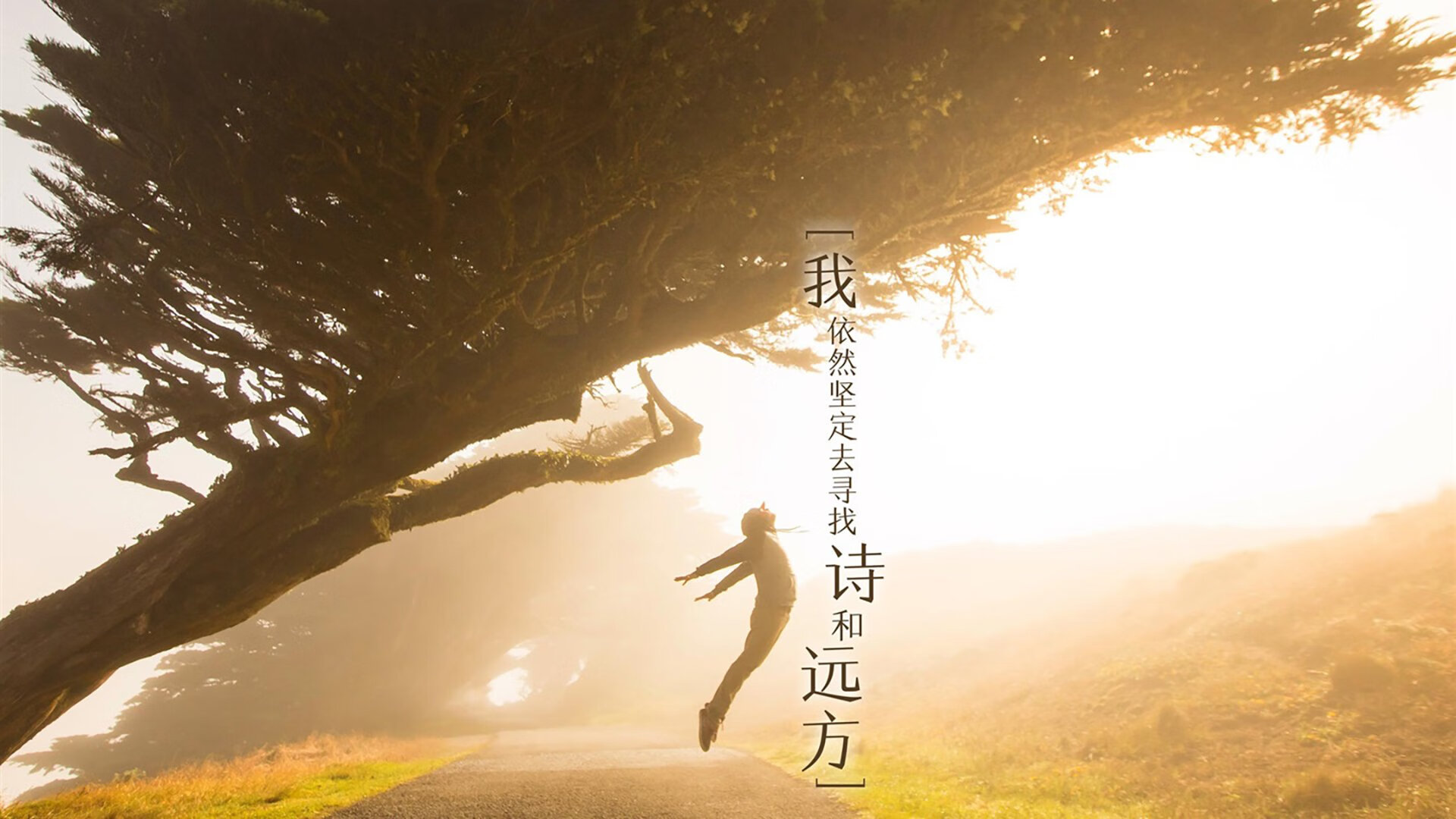 唯一性,那场绝杀,以及它背后不可复制的瞬间