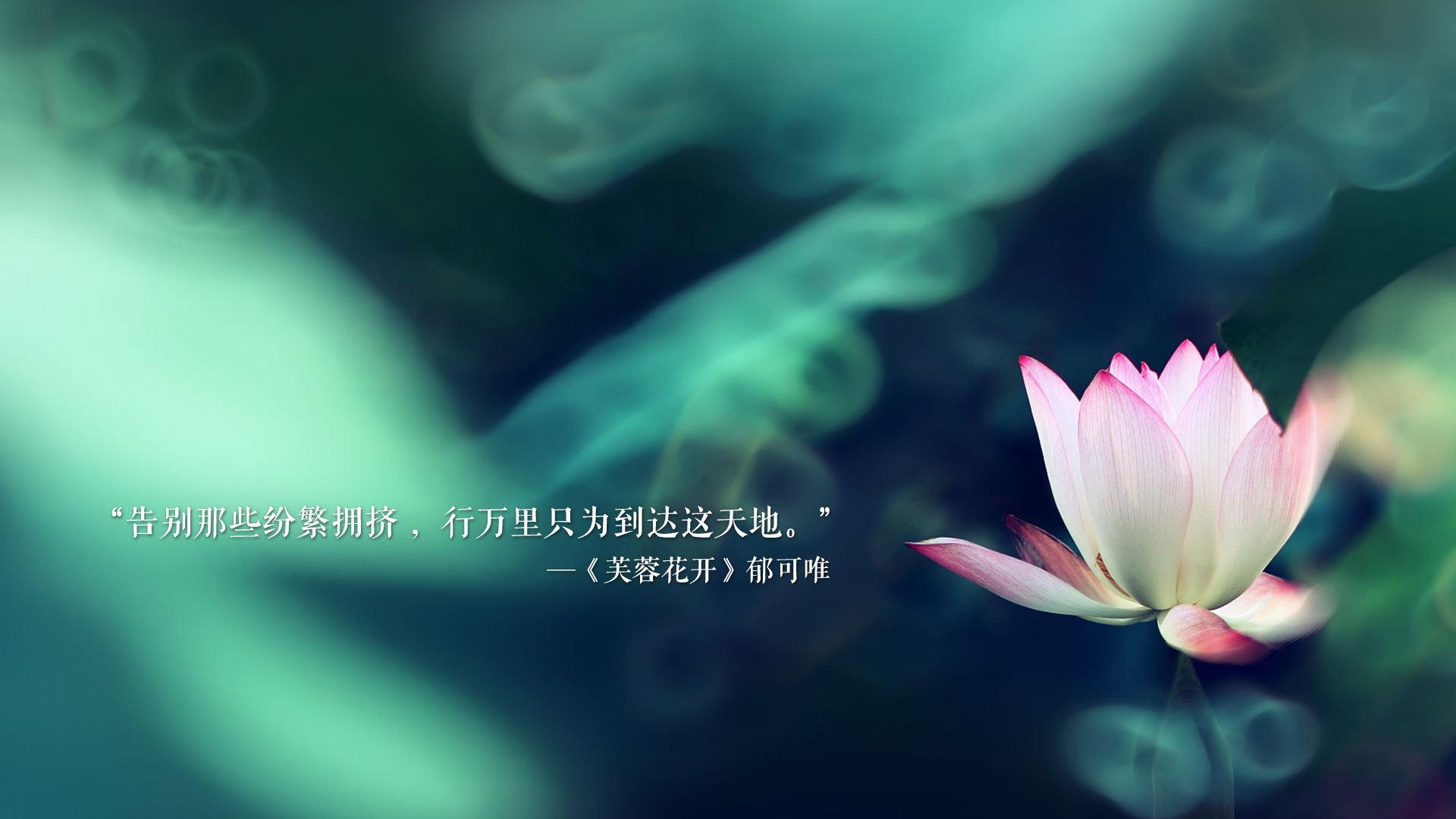 北欧之刃，日耳曼之魂，萨内三连击，撕裂墨西哥的唯一信仰