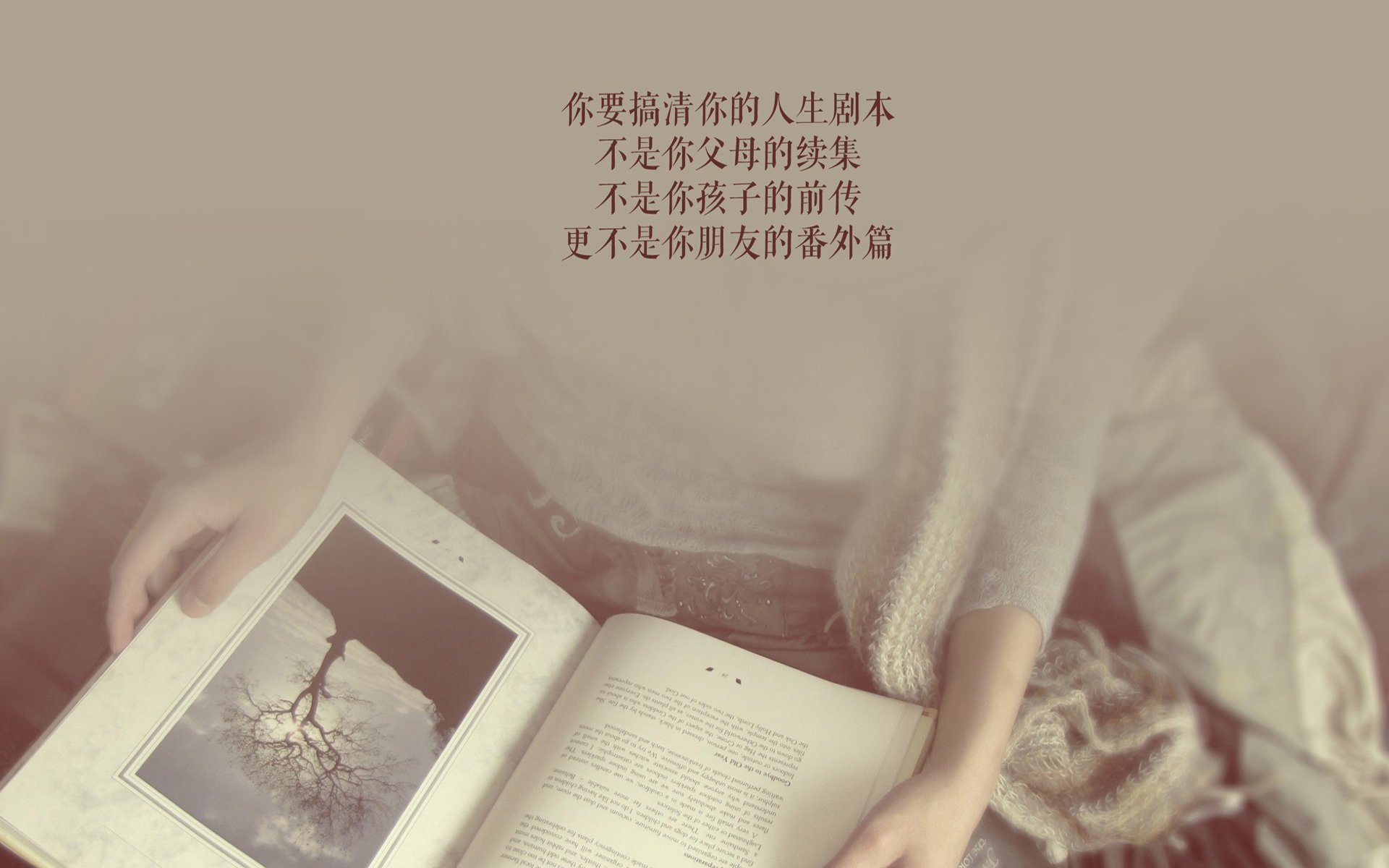 铁幕下的橙光，2026，范戴克用一场非典型胜利，定义了G组的唯一答案