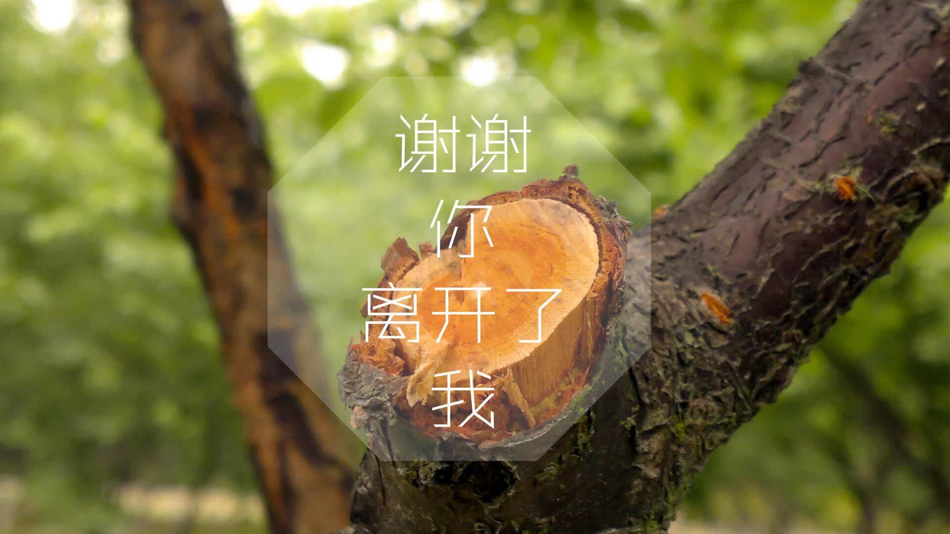 沙漠风暴席卷F组,阿方索·戴维斯领衔阿联酋,以一场唯一的完胜击碎越南奇迹